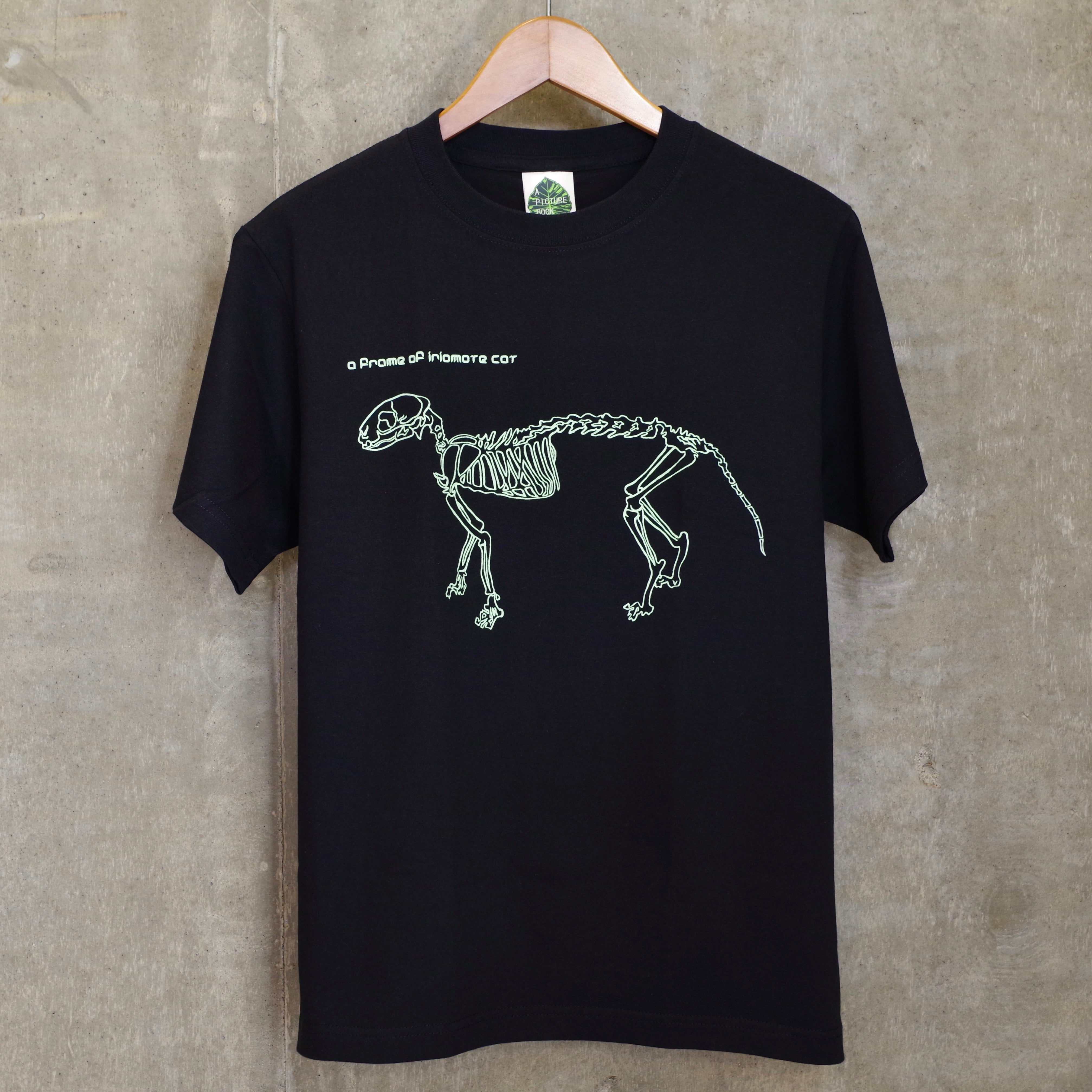 イリオモテ猫ページ EC2471DF-F4F5-4CAB-AA7C-