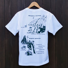 画像をギャラリービューアに読み込む, DRY(吸汗速乾)半袖<BR>図鑑TシャツWHITE<BR>The Mangrove