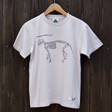 画像をギャラリービューアに読み込む, 染め図鑑Tシャツ<BR>イリオモテヤマネコ骨格