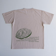 画像をギャラリービューアに読み込む, 染め図鑑Tシャツ<BR>セマルハコガメ