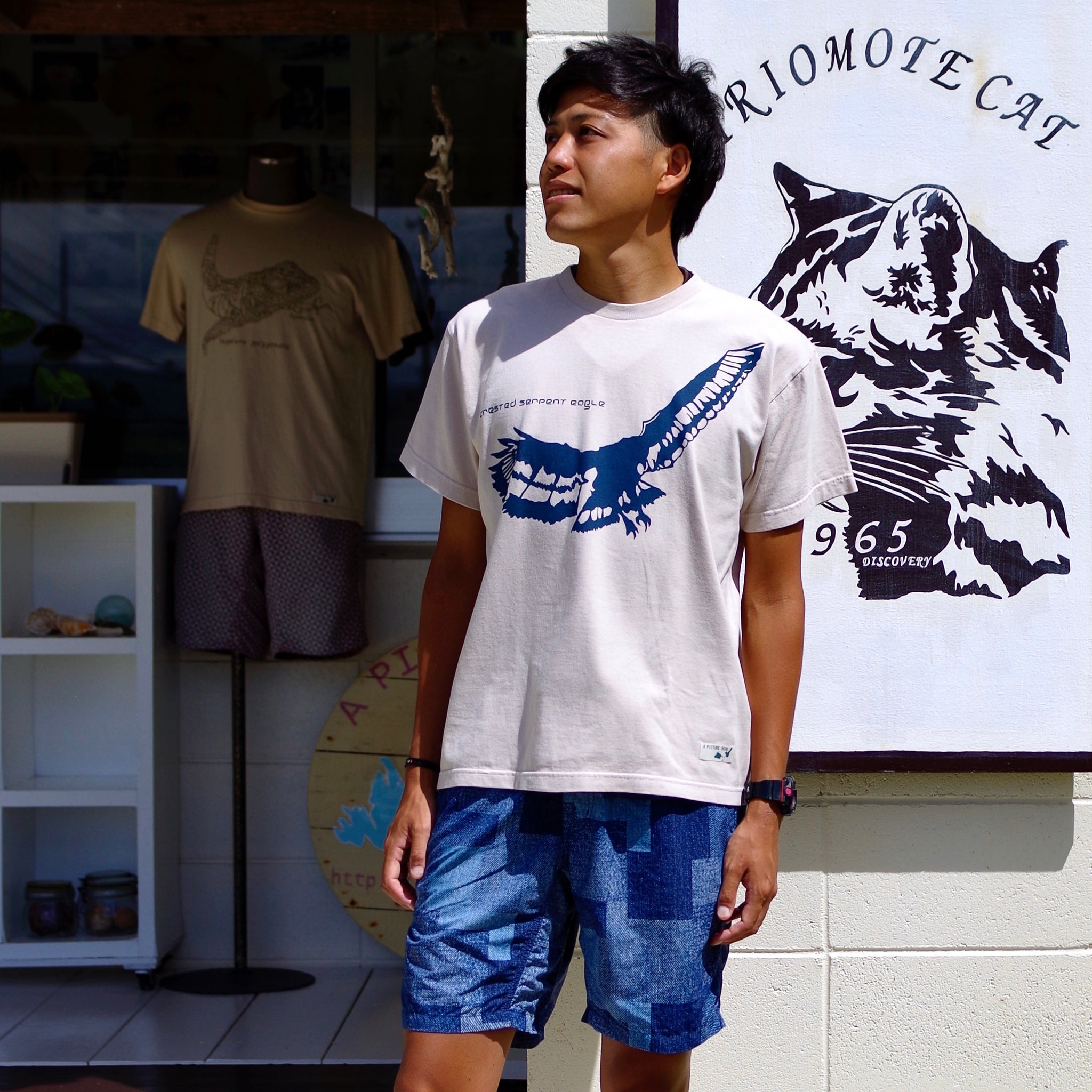 染め図鑑Tシャツ カンムリワシ – A PICTURE BOOK