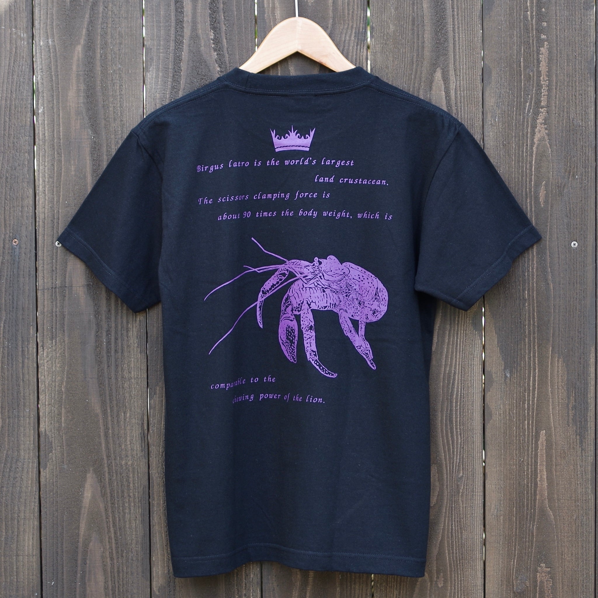 カムニャックTシャツ 2025オークスウイナーTシャツ【カムニャック】 | カテゴリー一覧