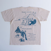 画像をギャラリービューアに読み込む, 染め図鑑Tシャツ&lt;BR&gt;The Mangrove

